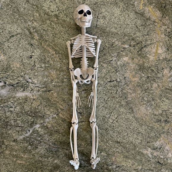 Skeleton Halloween Decorations. Hang or Sit Moveable Parts. 18” - Picture 2 of 4